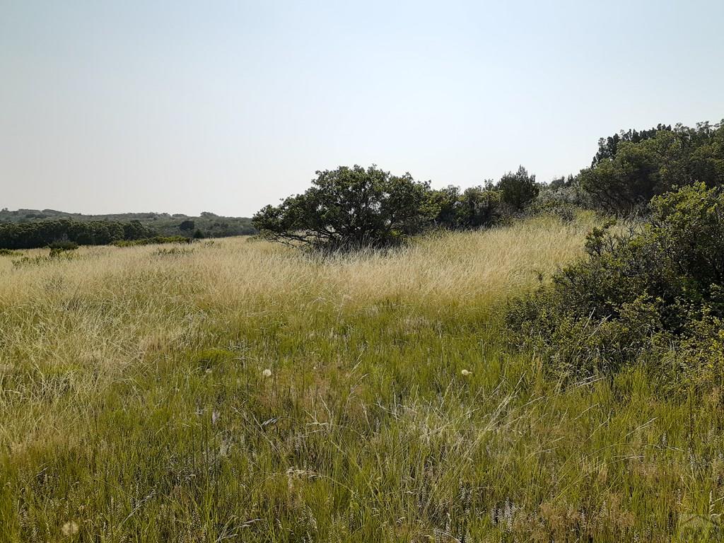 Tbd Tbd Sunset Place Rye, CO 81069 - Photo 4 of 8
