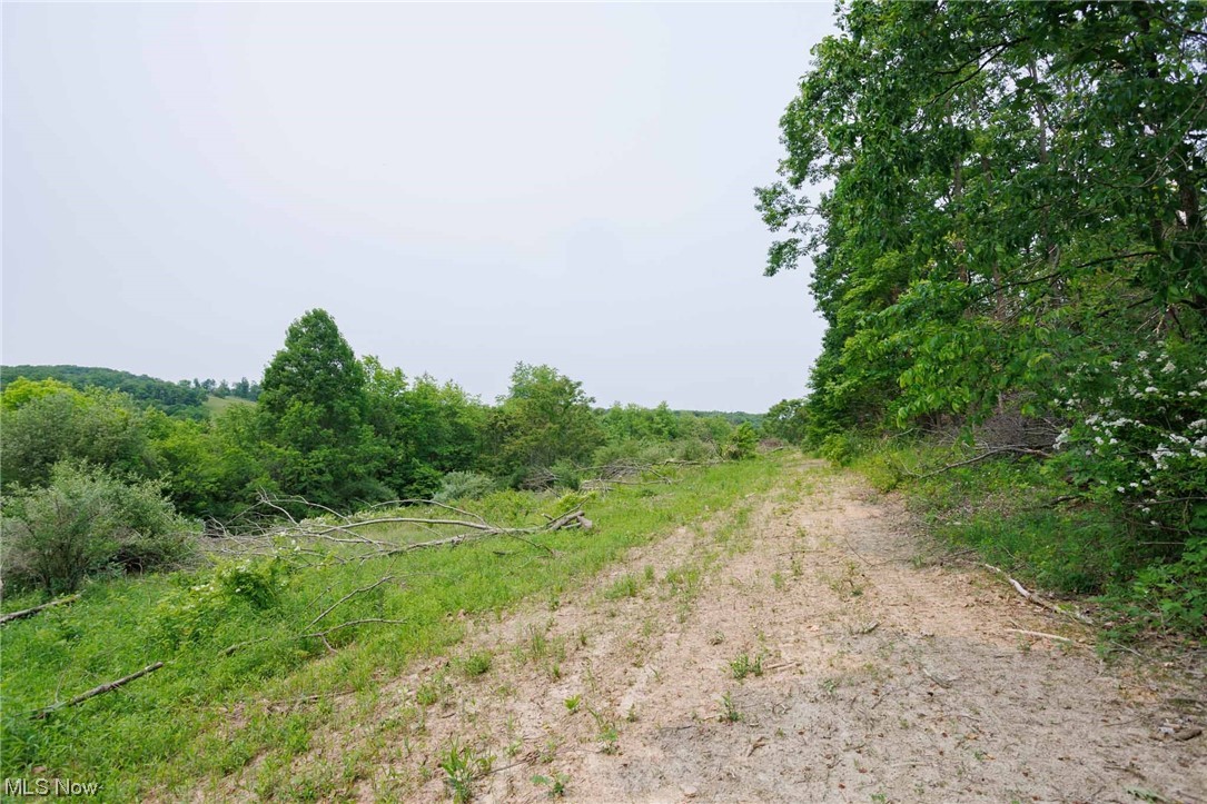 Northeast Gintz Road Dover, OH 44622 - Photo 6 of 14 Gallery Image 6