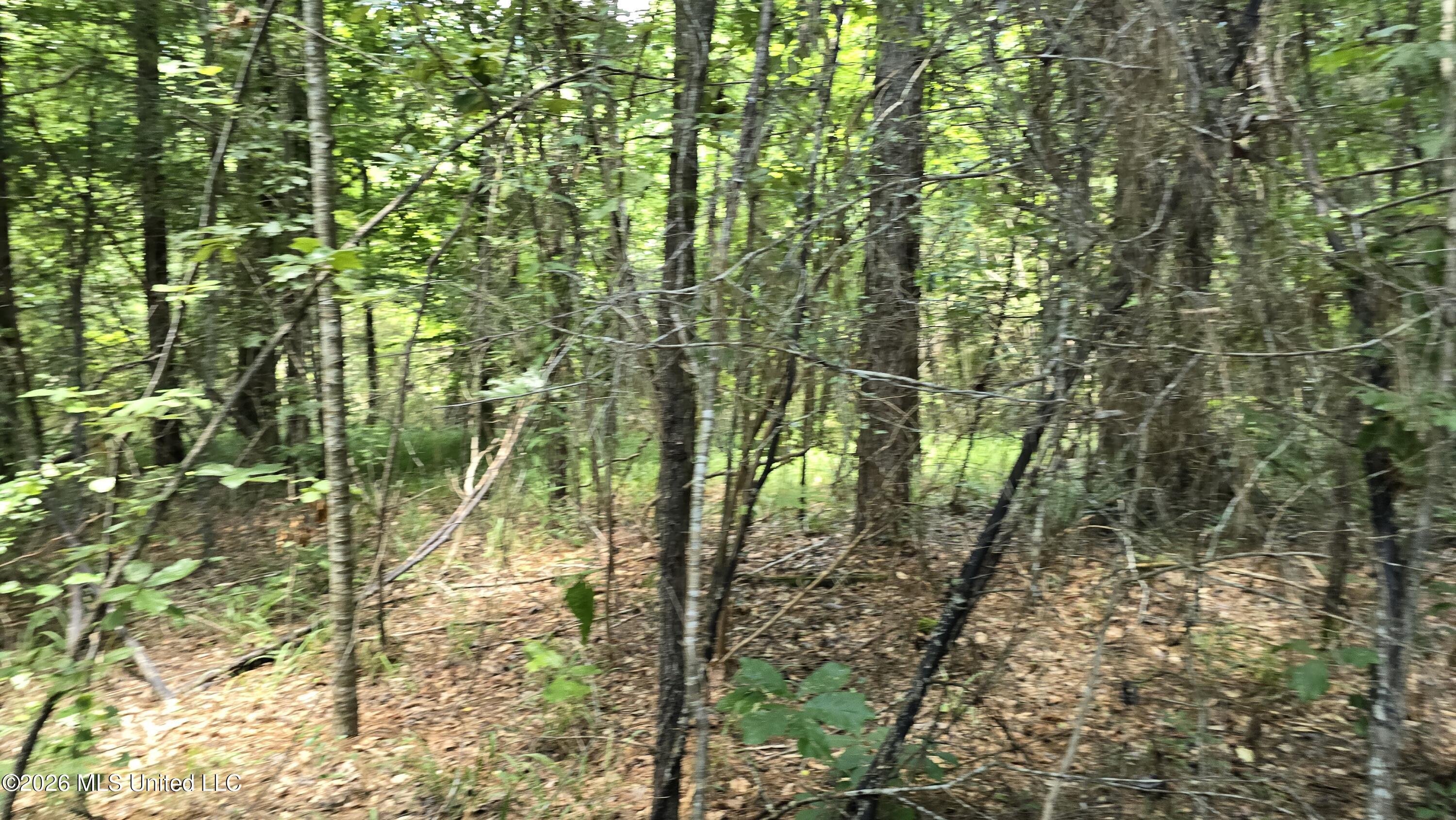 . Neal Posey Road McCall Creek, MS 39647 - Photo 6 of 18 20260709_130603
