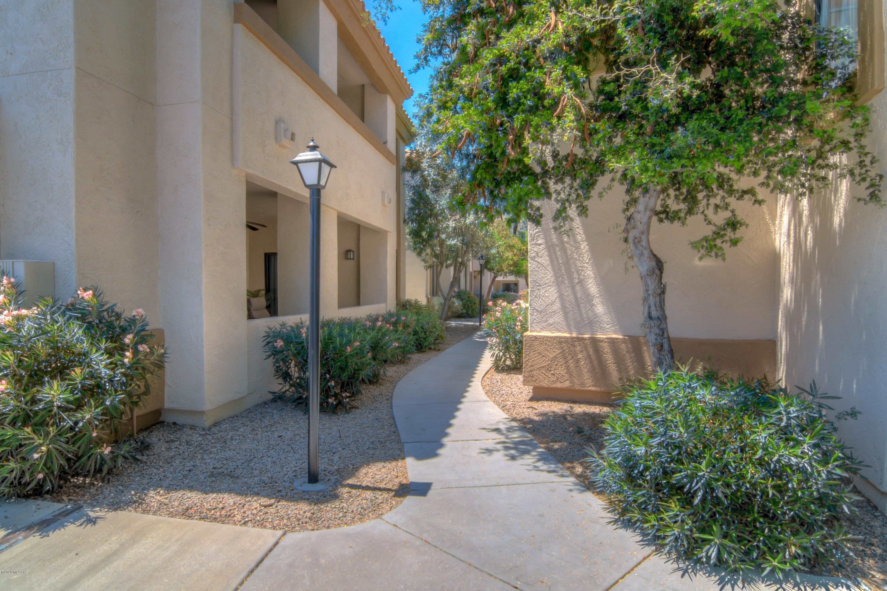 2550 East River Road, Unit 18202 Tucson, AZ 85718 - Photo 6 of 35