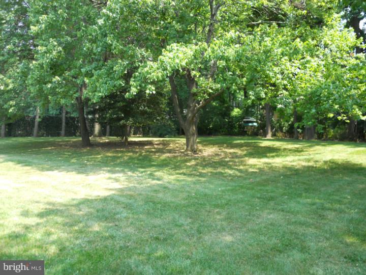857 Nathan Hale Road Berwyn, PA 19312 - Photo 17 of 17 Exterior Back