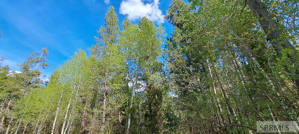 4376 Granite Ridge Ashton, ID 83420 - Photo 11 of 58