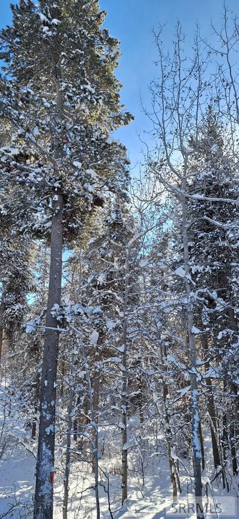 4376 Granite Ridge Ashton, ID 83420 - Photo 26 of 58