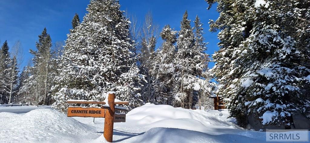 4376 Granite Ridge Ashton, ID 83420 - Photo 27 of 58