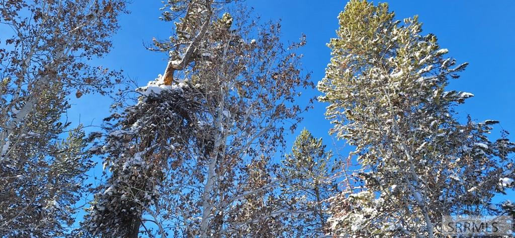 4376 Granite Ridge Ashton, ID 83420 - Photo 30 of 58