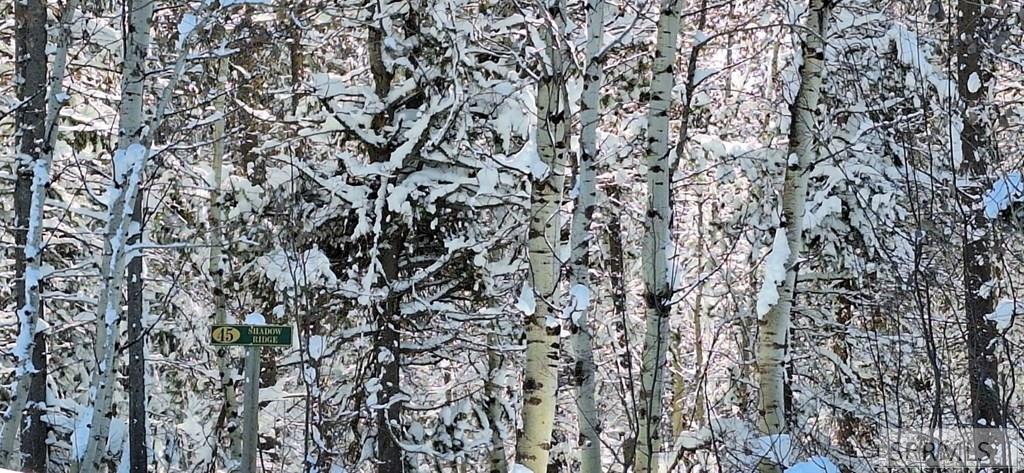 4376 Granite Ridge Ashton, ID 83420 - Photo 31 of 58