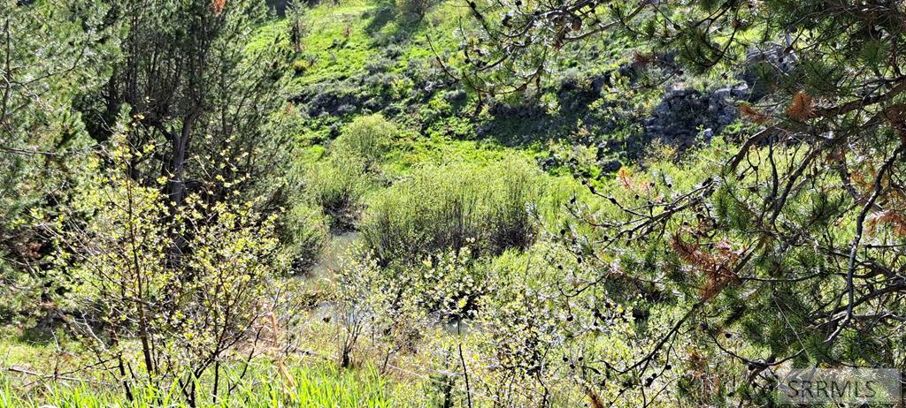 4376 Granite Ridge Ashton, ID 83420 - Photo 54 of 58