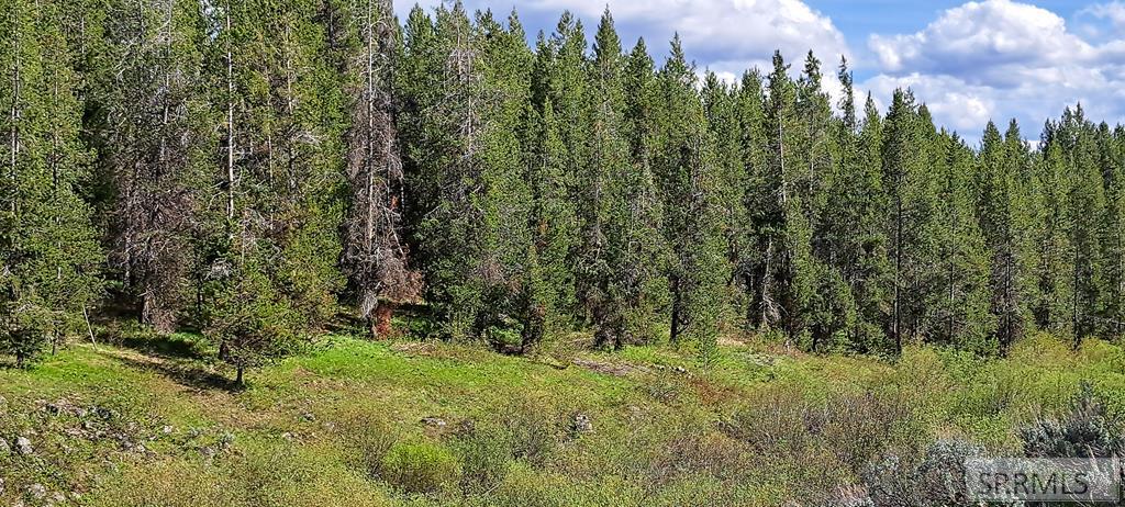 4376 Granite Ridge Ashton, ID 83420 - Photo 55 of 58