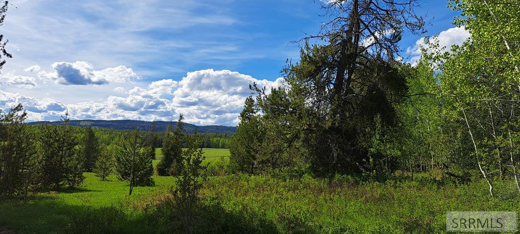 4376 Granite Ridge Ashton, ID 83420 - Photo 6 of 58