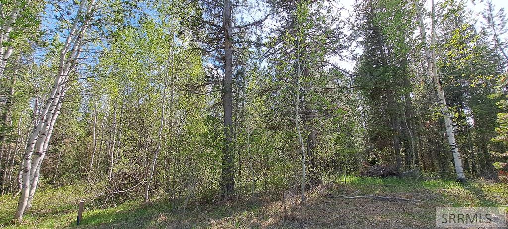 4376 Granite Ridge Ashton, ID 83420 - Photo 9 of 58