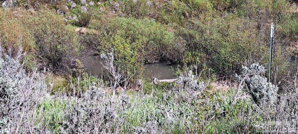 4376 Granite Ridge Ashton, ID 83420 - Photo 10 of 58