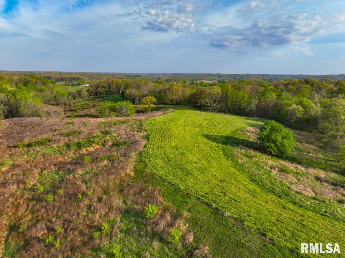0 Goodman Pond Road Dongola, IL 62926 - Photo 54 of 72 Gallery Image 54