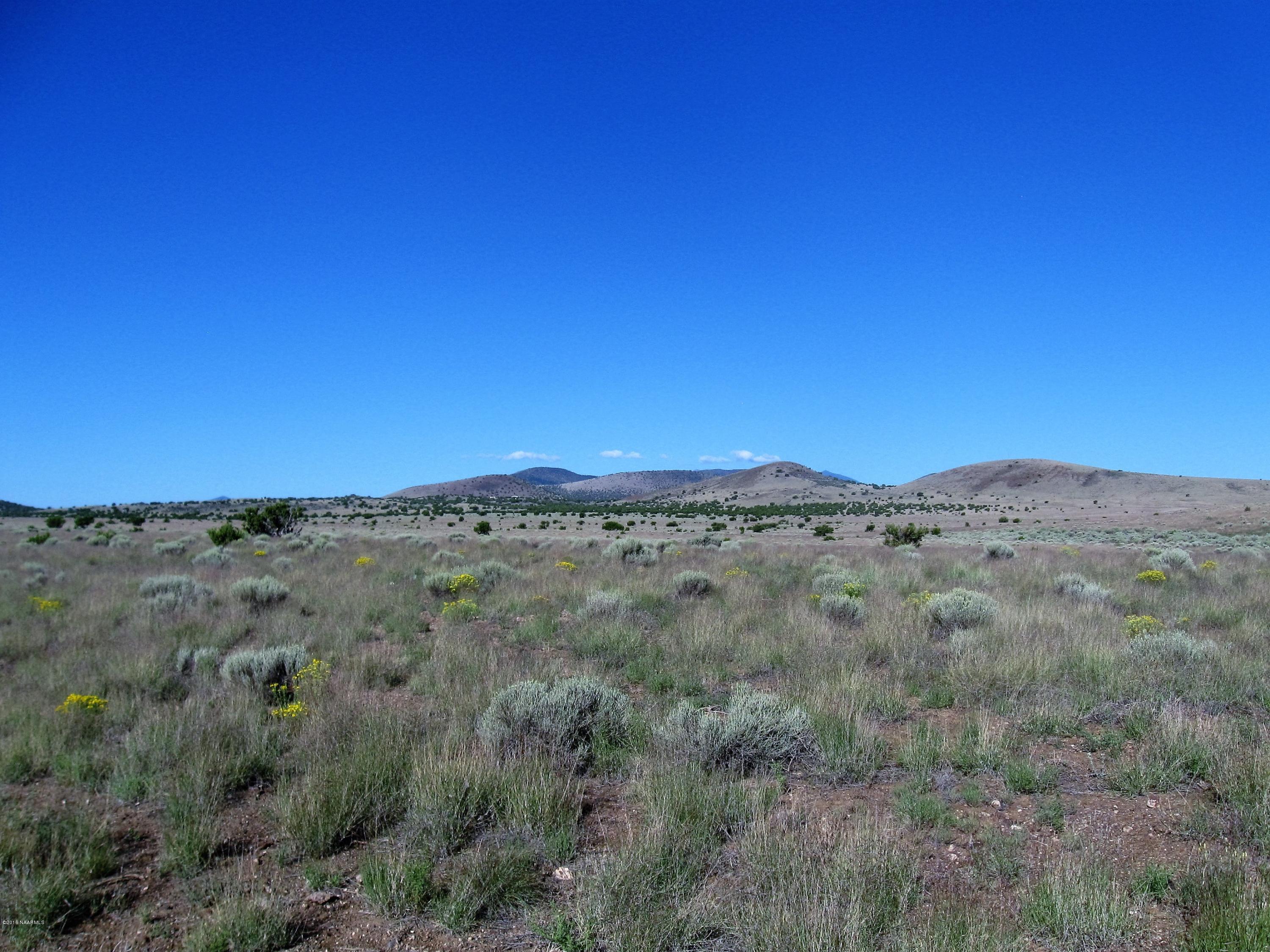 43085 Alpine Ranch Flagstaff, AZ 86004 - Photo 1 of 1 view