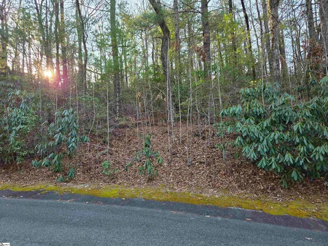 $45,000 | 56 Cliff Ridge Drive, Cleveland, SC 29635