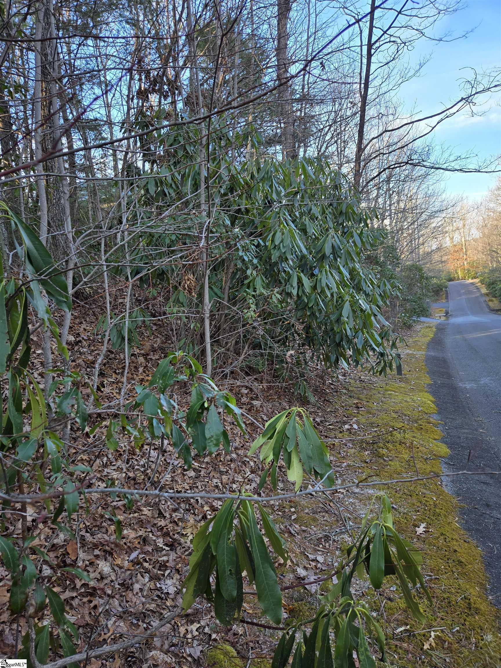 56 Cliff Ridge Drive Cleveland, SC 29635 - Photo 2 of 10