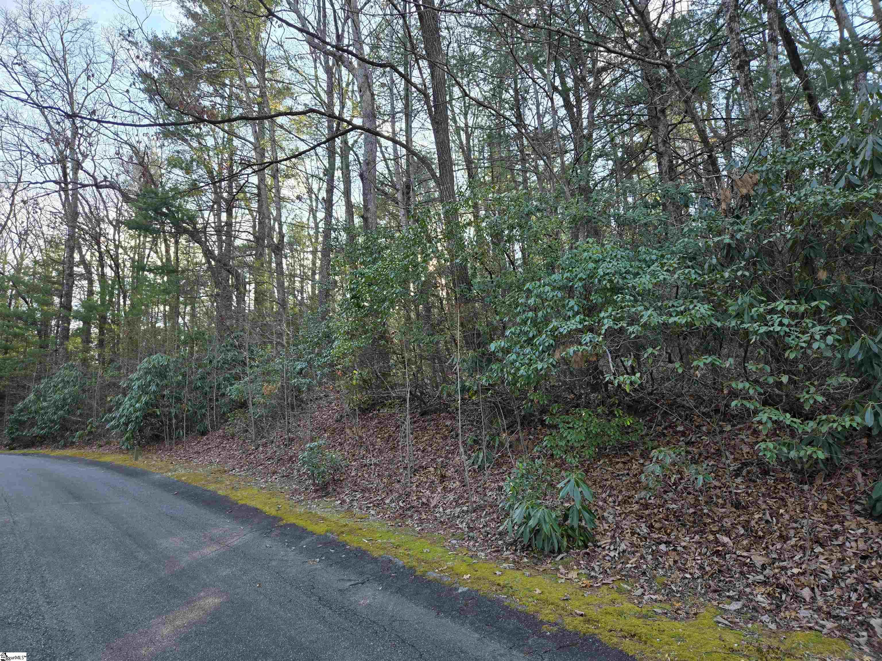 56 Cliff Ridge Drive Cleveland, SC 29635 - Photo 3 of 10