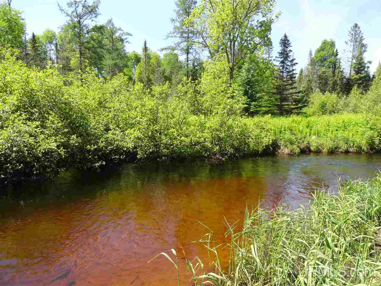 11 Co Road Felch, MI 49831 - Photo 5 of 36