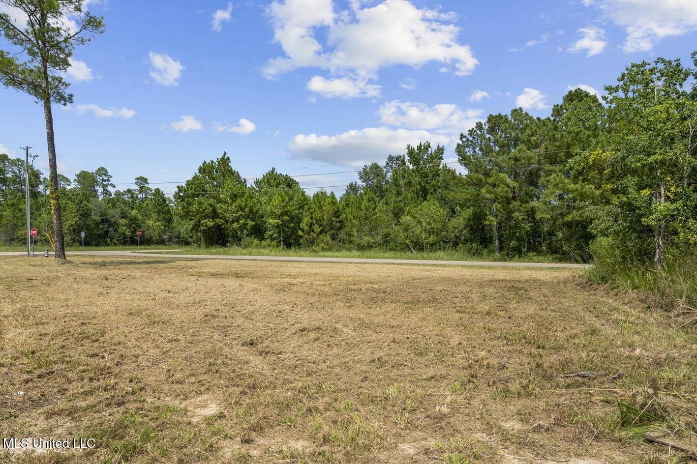 Kalaepohuko Drive Diamondhead, MS 39525 - Photo 2 of 3 land