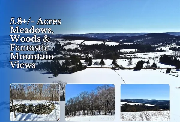 $68,000 | Lot 42 Hamden Hill Road, Hamden, NY 13782