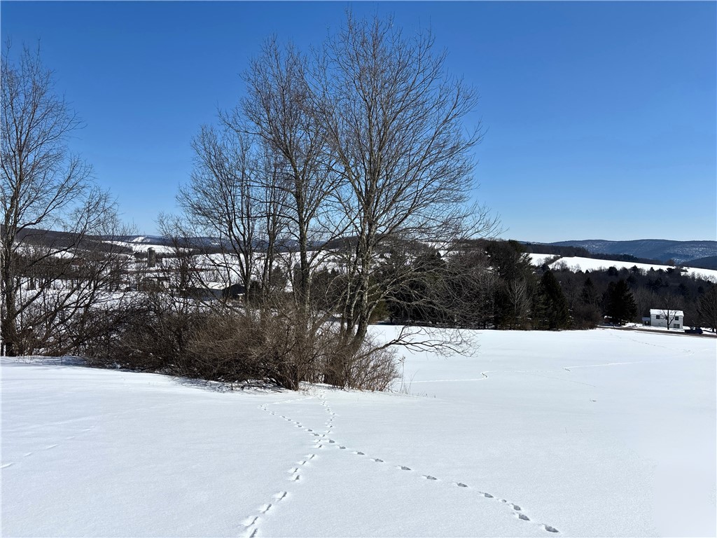 Lot 42 Hamden Hill Road Hamden, NY 13782 - Photo 11 of 40