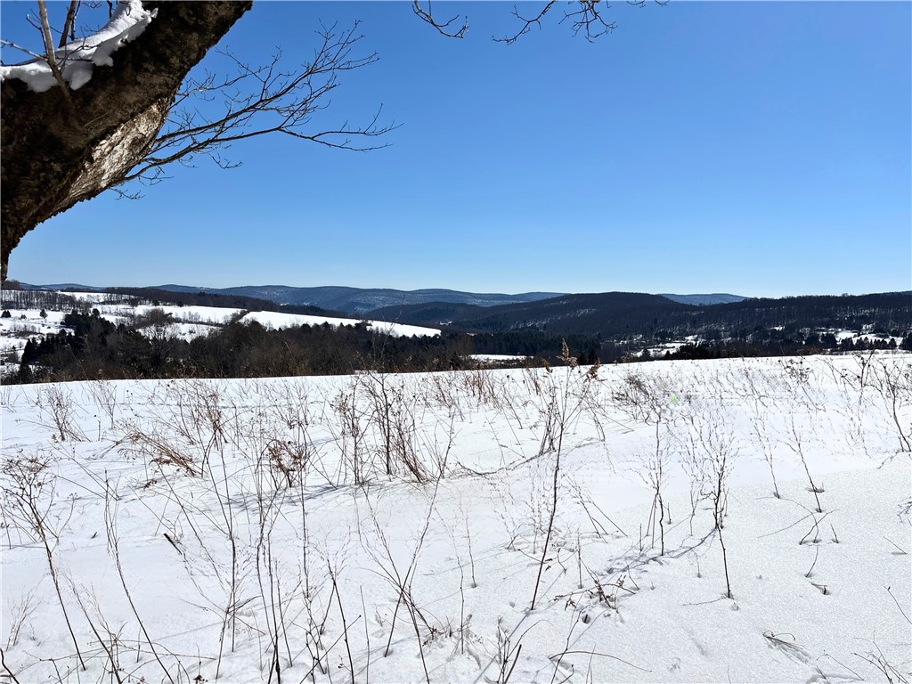 Lot 42 Hamden Hill Road Hamden, NY 13782 - Photo 12 of 40
