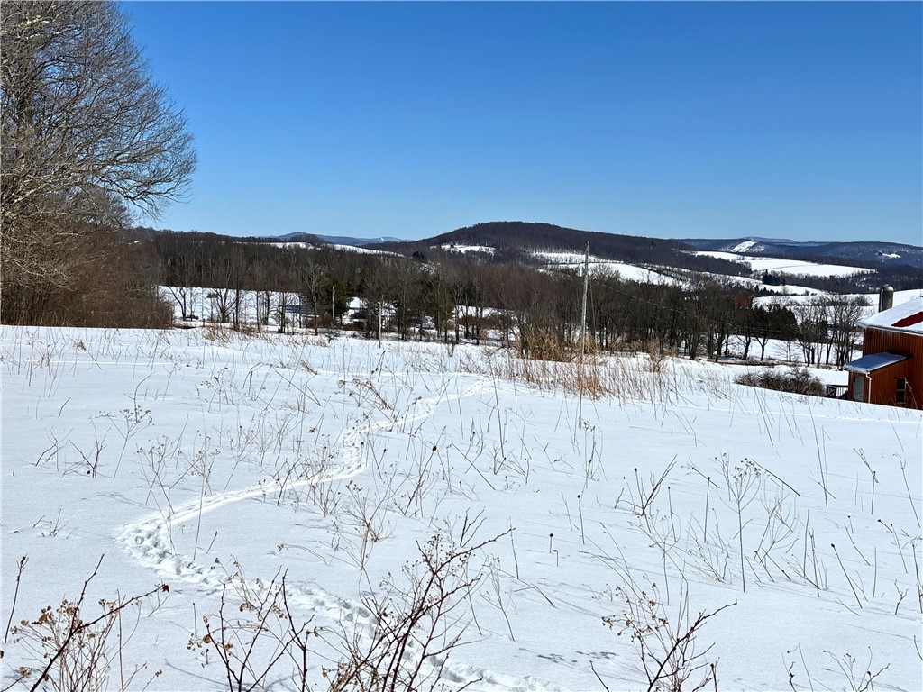 Lot 42 Hamden Hill Road Hamden, NY 13782 - Photo 13 of 40