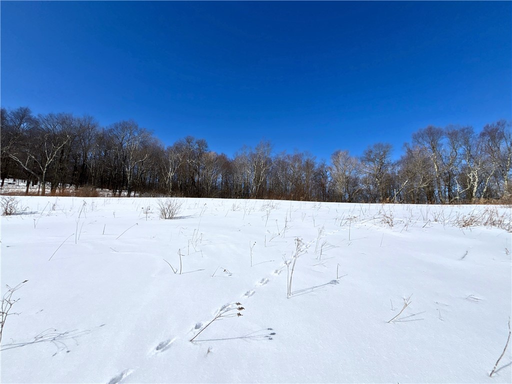 Lot 42 Hamden Hill Road Hamden, NY 13782 - Photo 14 of 40