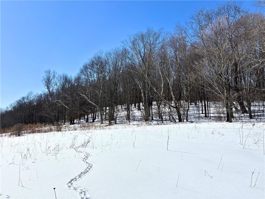 Lot 42 Hamden Hill Road Hamden, NY 13782 - Photo 15 of 40