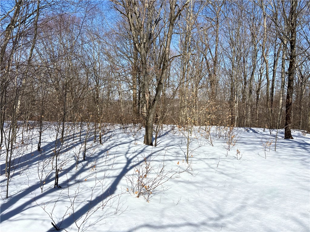 Lot 42 Hamden Hill Road Hamden, NY 13782 - Photo 16 of 40