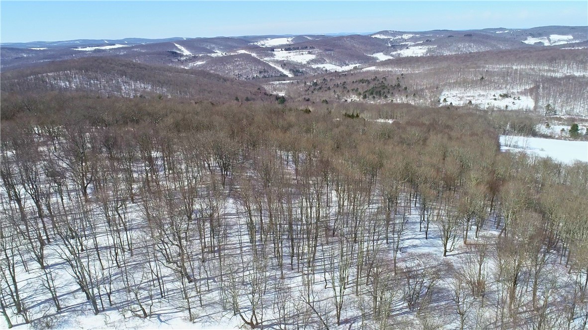 Lot 42 Hamden Hill Road Hamden, NY 13782 - Photo 17 of 40