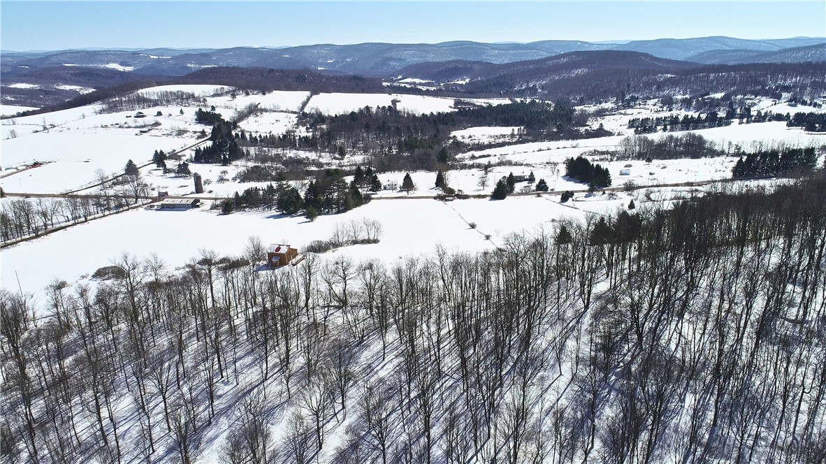 Lot 42 Hamden Hill Road Hamden, NY 13782 - Photo 18 of 40