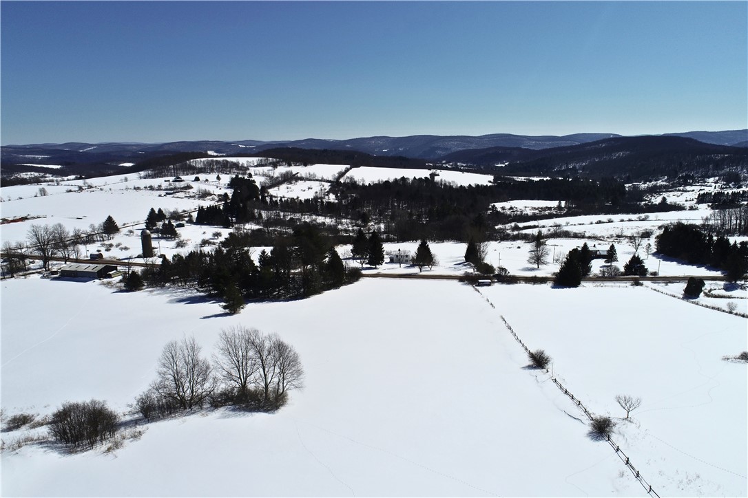 Lot 42 Hamden Hill Road Hamden, NY 13782 - Photo 19 of 40