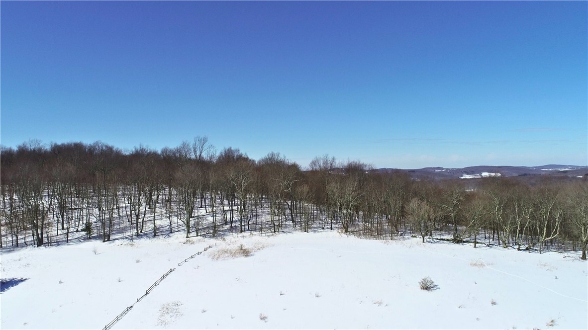 Lot 42 Hamden Hill Road Hamden, NY 13782 - Photo 20 of 40
