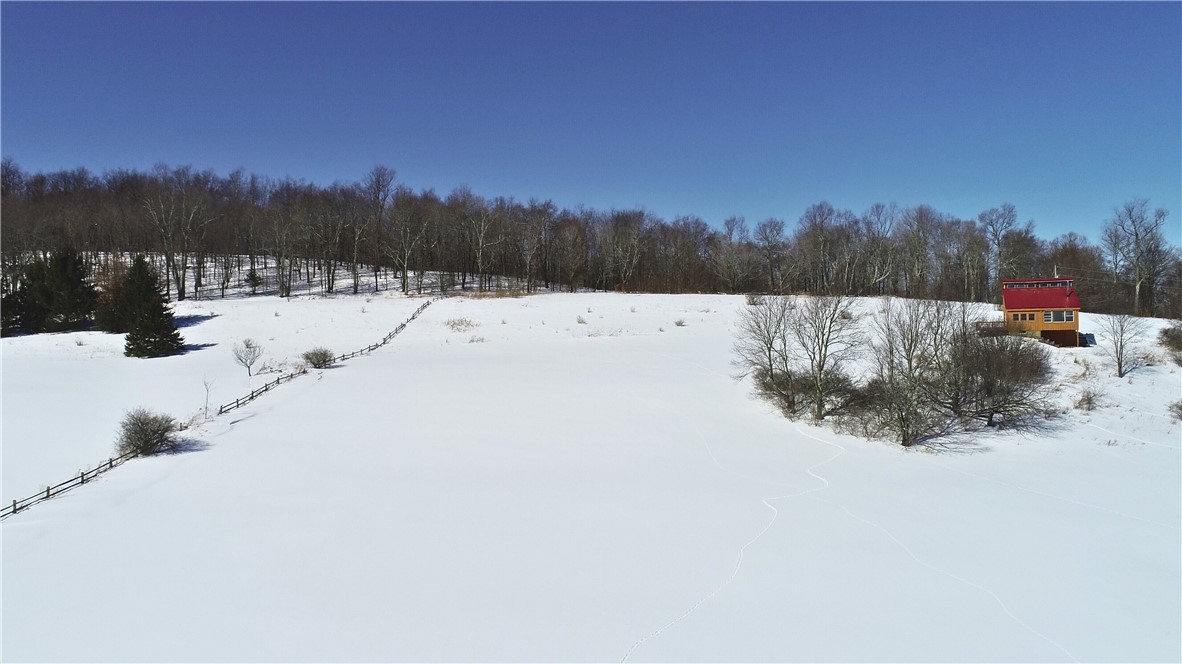 Lot 42 Hamden Hill Road Hamden, NY 13782 - Photo 21 of 40