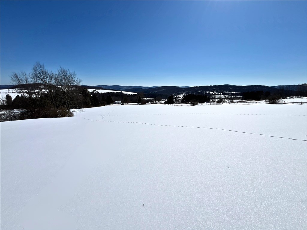Lot 42 Hamden Hill Road Hamden, NY 13782 - Photo 22 of 40
