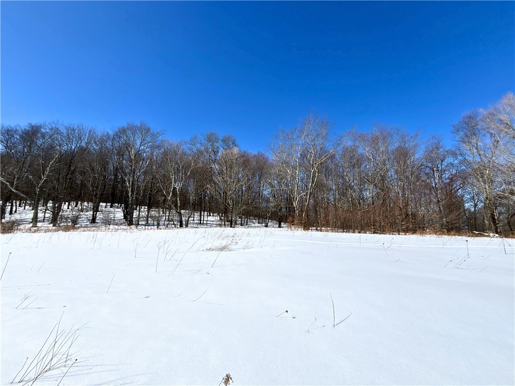 Lot 42 Hamden Hill Road Hamden, NY 13782 - Photo 23 of 40