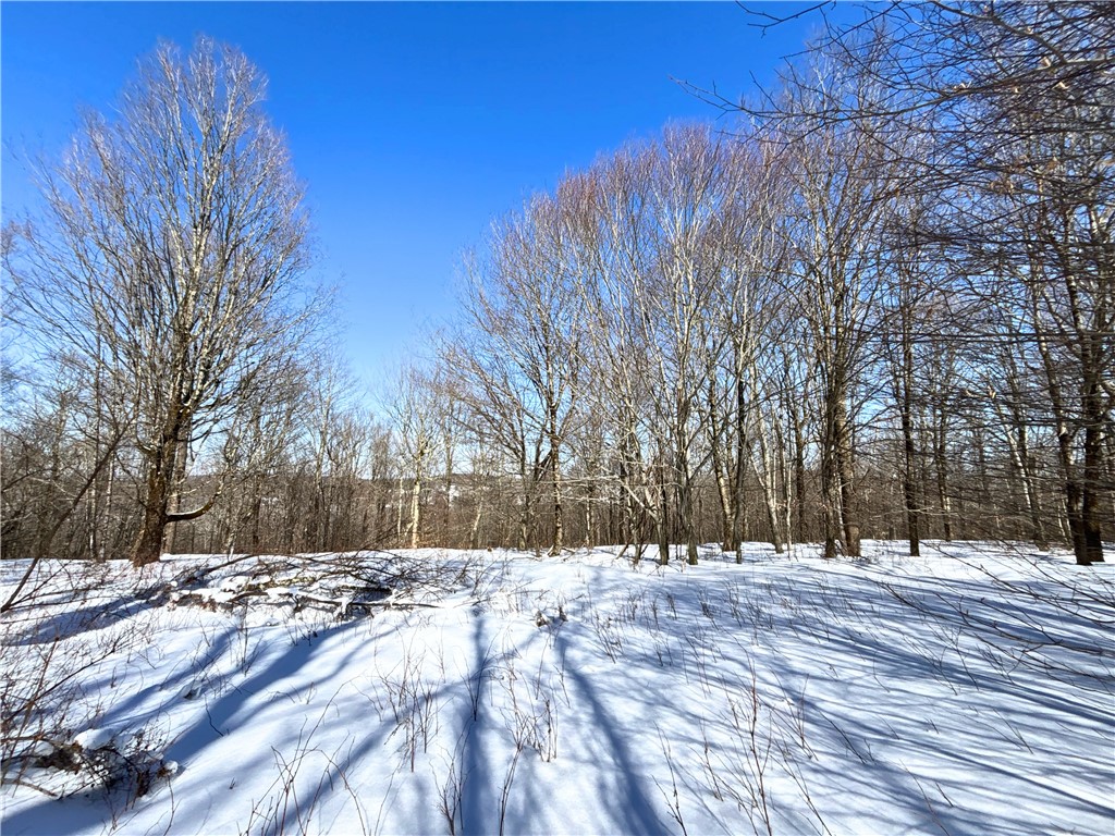 Lot 42 Hamden Hill Road Hamden, NY 13782 - Photo 24 of 40