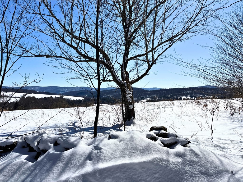 Lot 42 Hamden Hill Road Hamden, NY 13782 - Photo 25 of 40