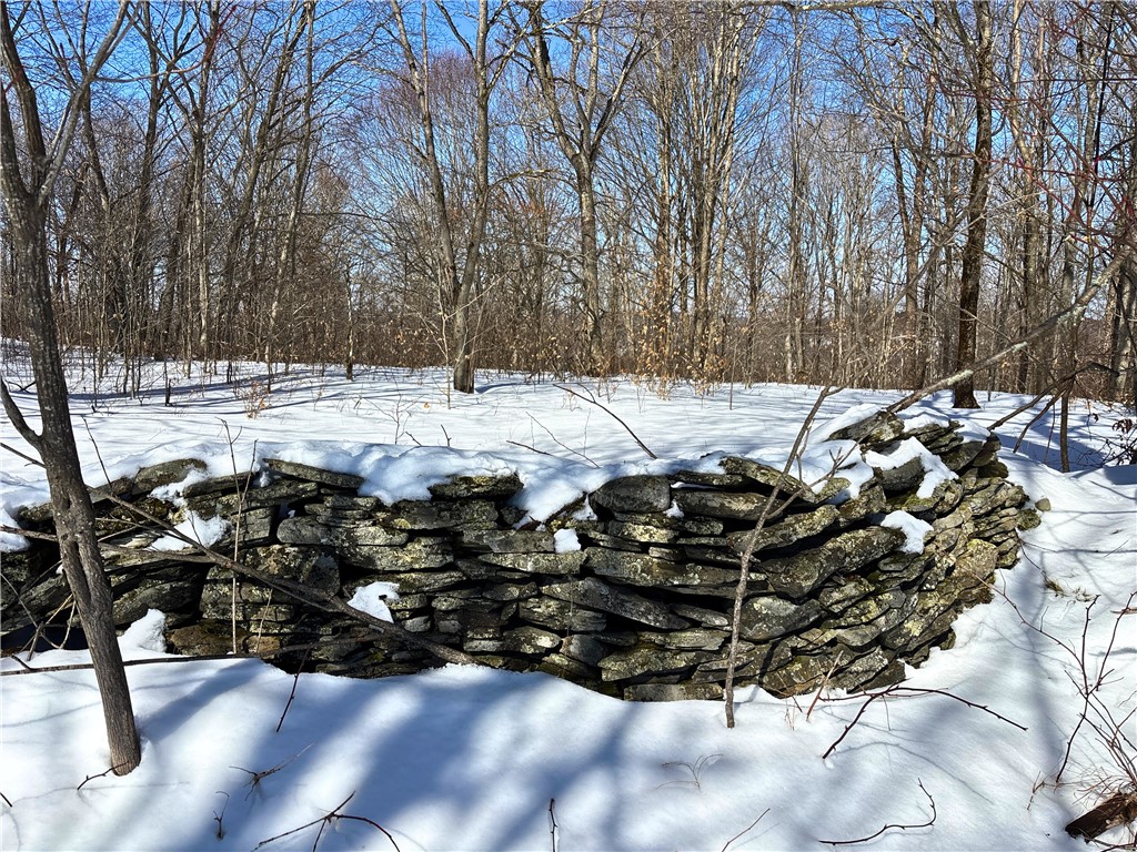 Lot 42 Hamden Hill Road Hamden, NY 13782 - Photo 26 of 40