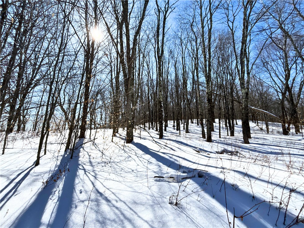 Lot 42 Hamden Hill Road Hamden, NY 13782 - Photo 27 of 40