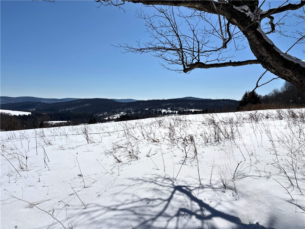 Lot 42 Hamden Hill Road Hamden, NY 13782 - Photo 28 of 40