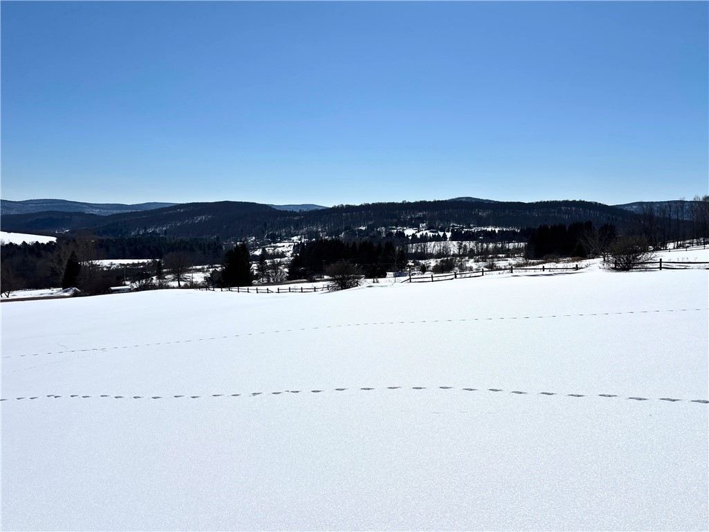 Lot 42 Hamden Hill Road Hamden, NY 13782 - Photo 29 of 40