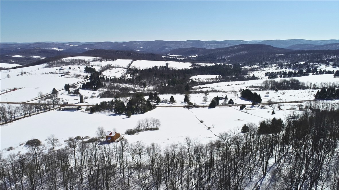Lot 42 Hamden Hill Road Hamden, NY 13782 - Photo 30 of 40
