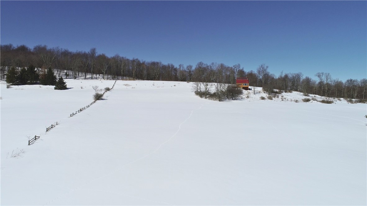 Lot 42 Hamden Hill Road Hamden, NY 13782 - Photo 3 of 40
