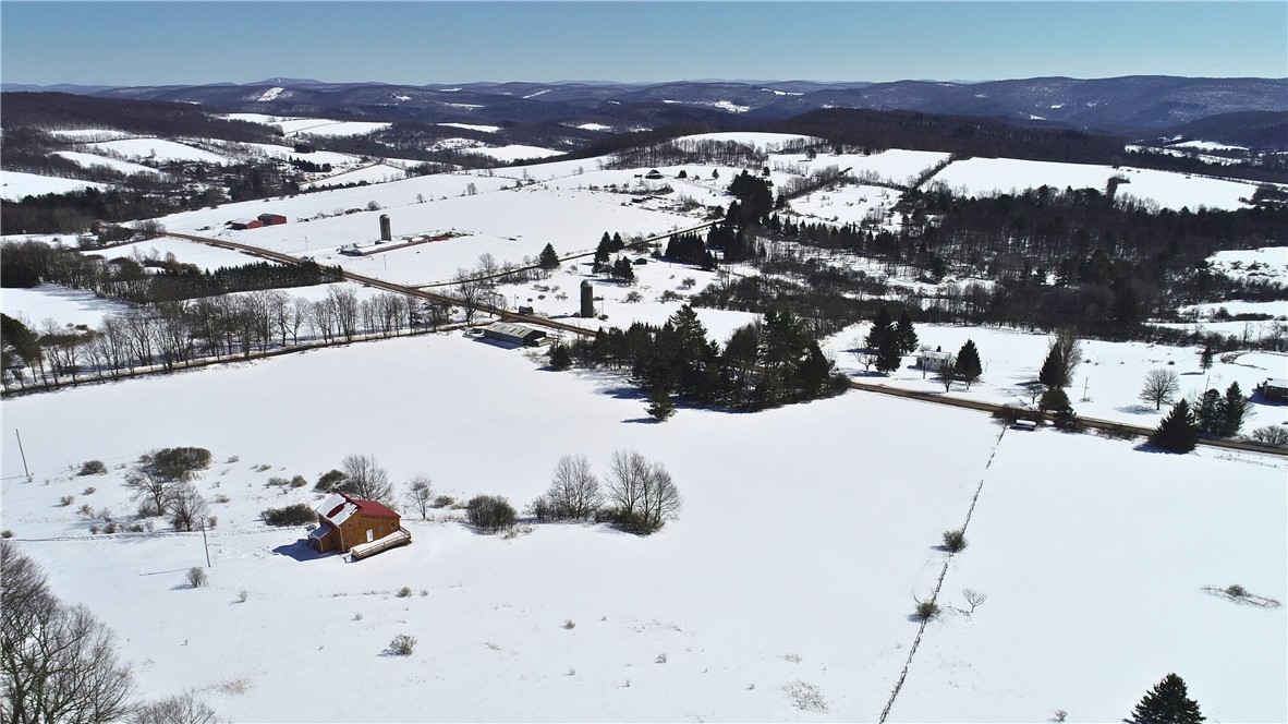 Lot 42 Hamden Hill Road Hamden, NY 13782 - Photo 31 of 40