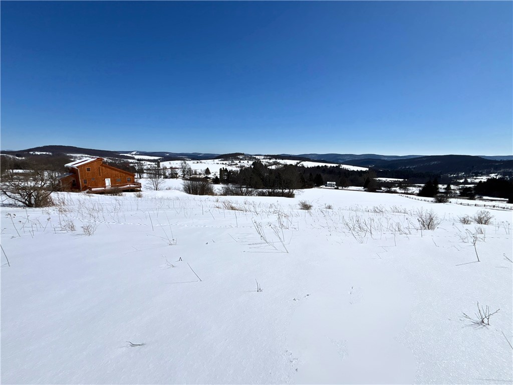 Lot 42 Hamden Hill Road Hamden, NY 13782 - Photo 32 of 40