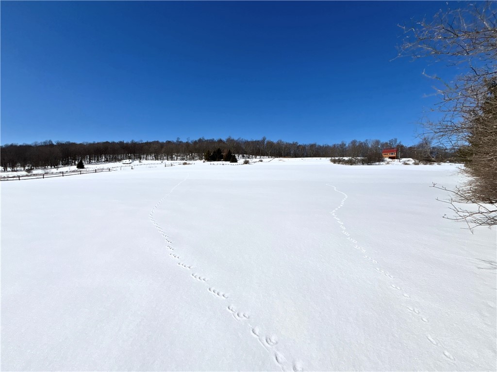 Lot 42 Hamden Hill Road Hamden, NY 13782 - Photo 33 of 40