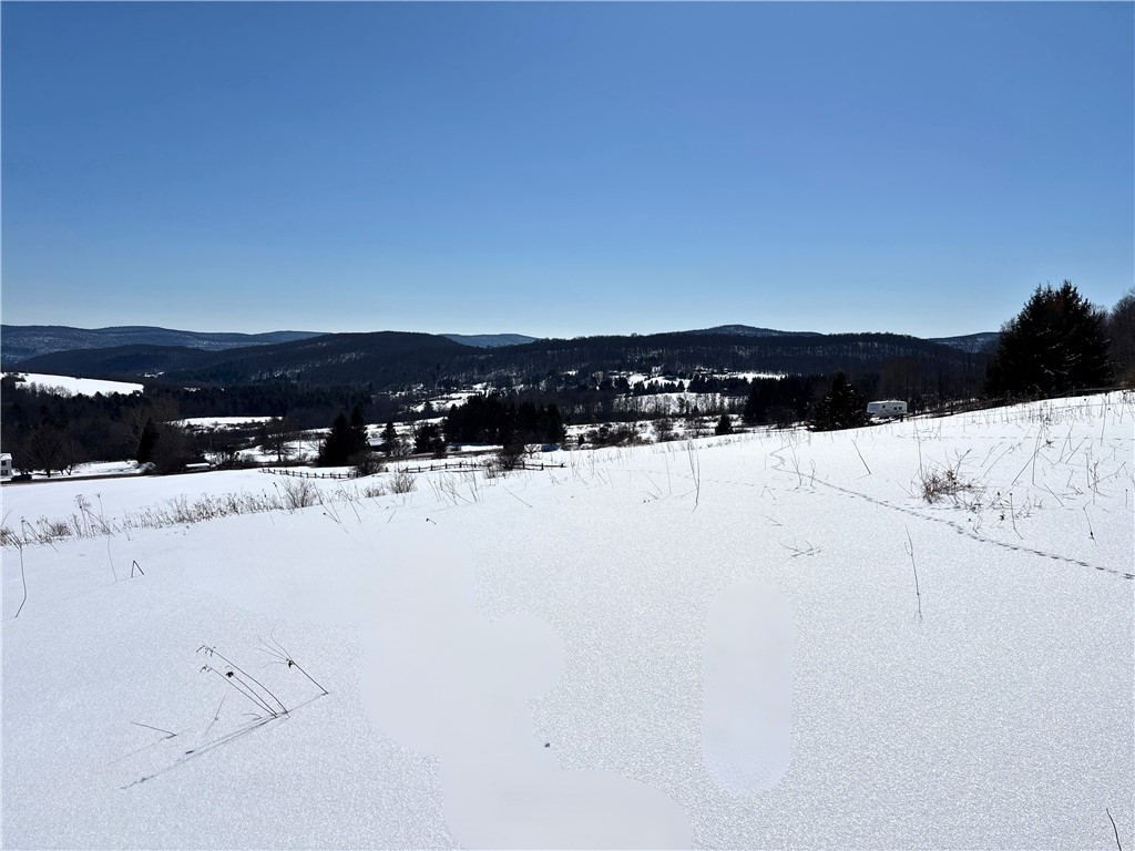 Lot 42 Hamden Hill Road Hamden, NY 13782 - Photo 35 of 40