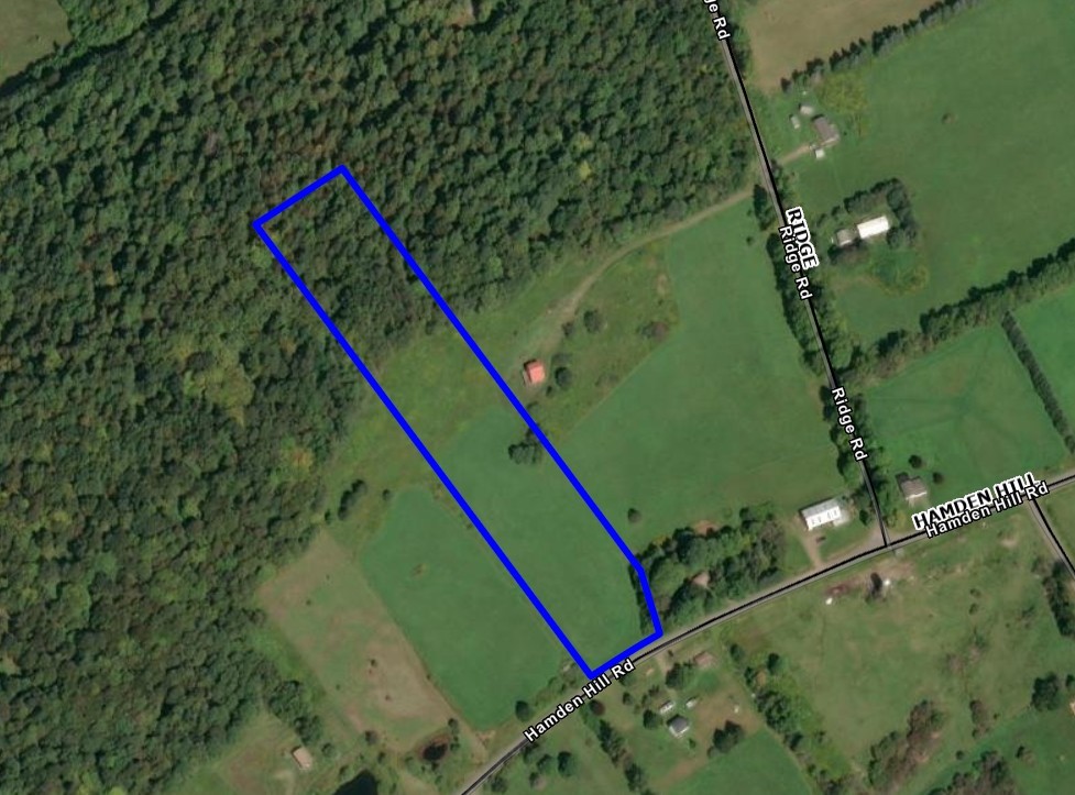 Lot 42 Hamden Hill Road Hamden, NY 13782 - Photo 40 of 40
