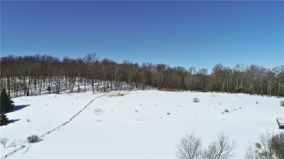 Lot 42 Hamden Hill Road Hamden, NY 13782 - Photo 4 of 40
